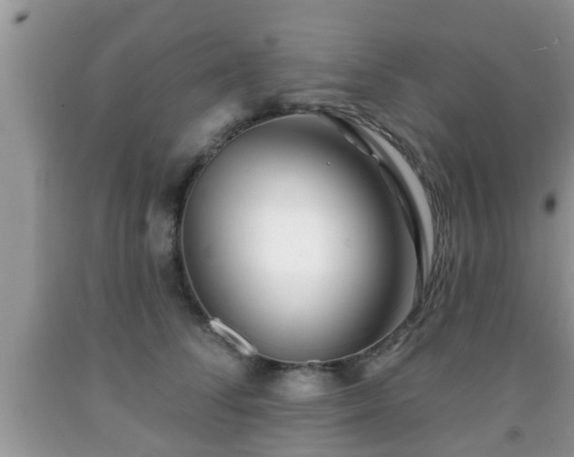 X0000091970708200709131338
