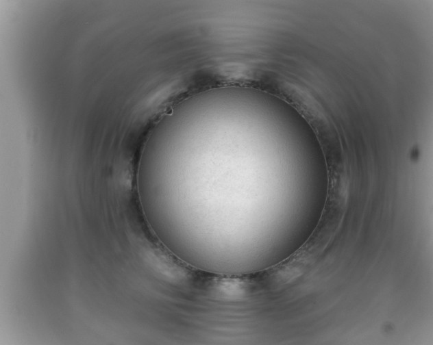 X0000091970710200709131338