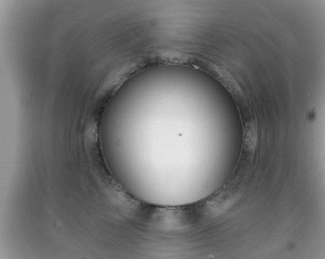 X0000091970713200709131338
