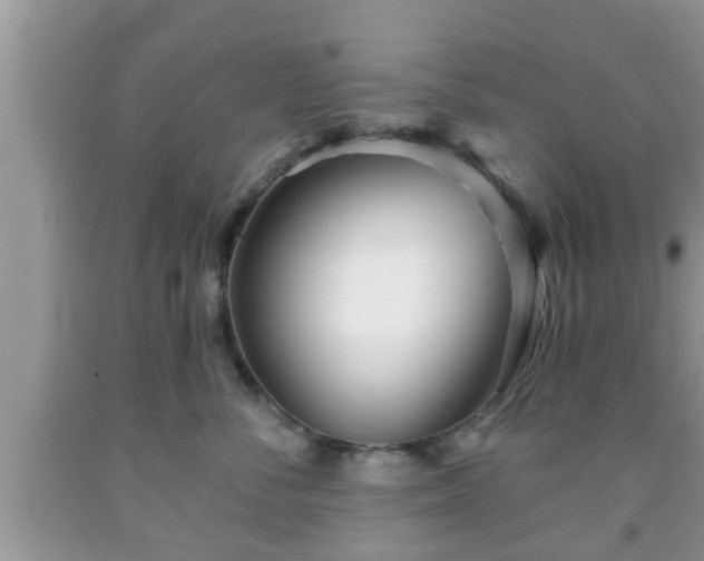 X0000091970716200709131338