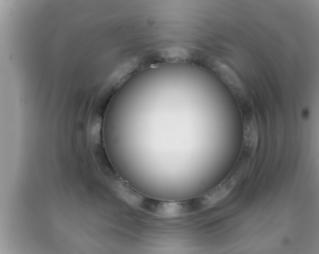 X0000091970717200709131338