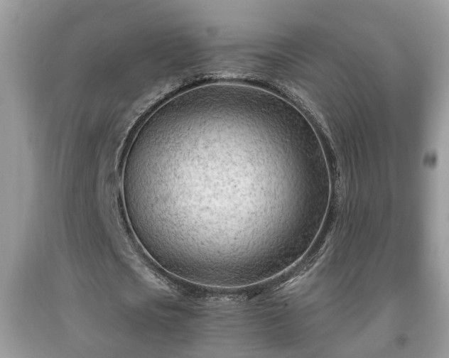 X0000091970721200709131338