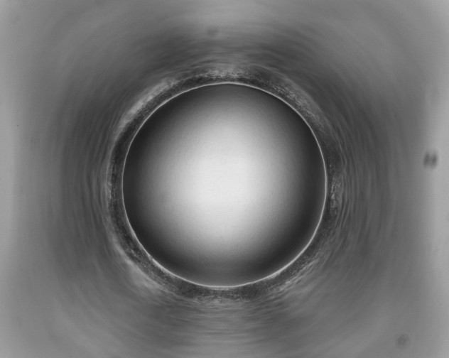 X0000091970722200709131338