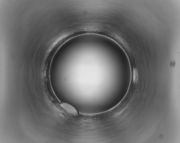 X0000091970723200709131338