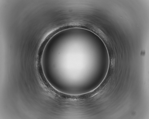 X0000091970724200709131338