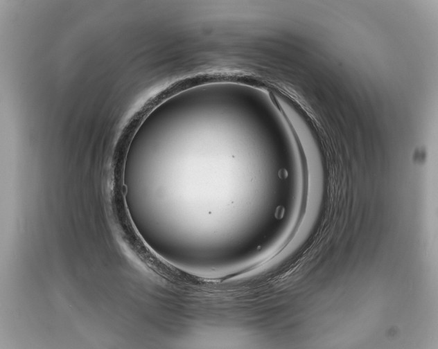 X0000091970726200709131338