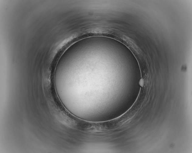 X0000091970727200709131338