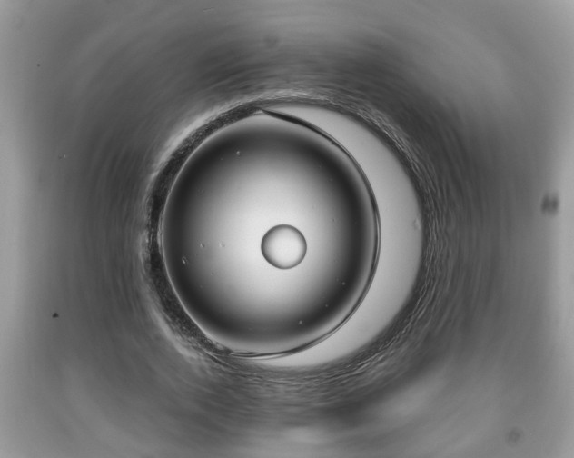 X0000091970728200709131338