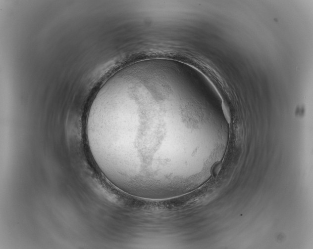 X0000091970729200709131338