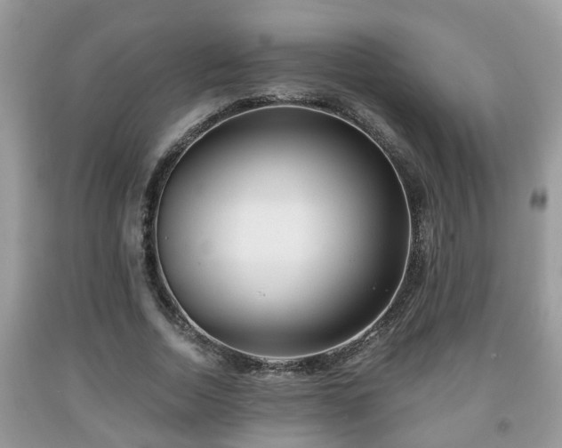 X0000091970730200709131338