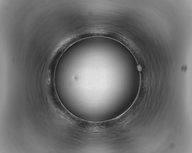 X0000091970731200709131338