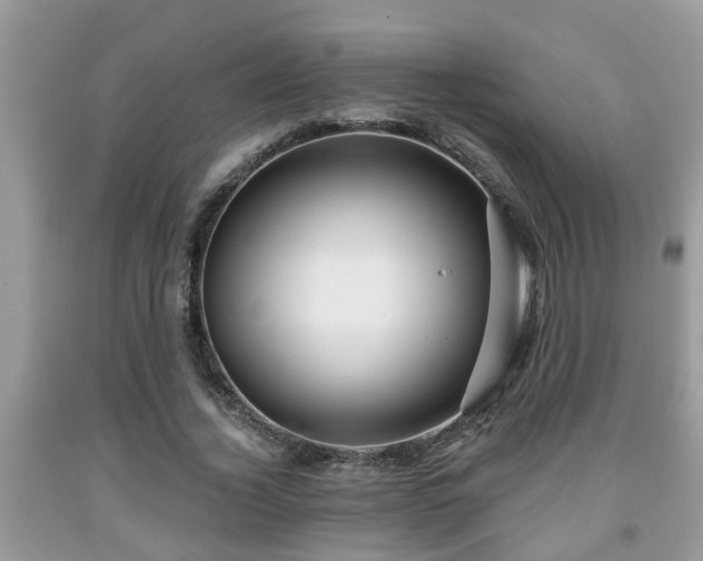 X0000091970732200709131338