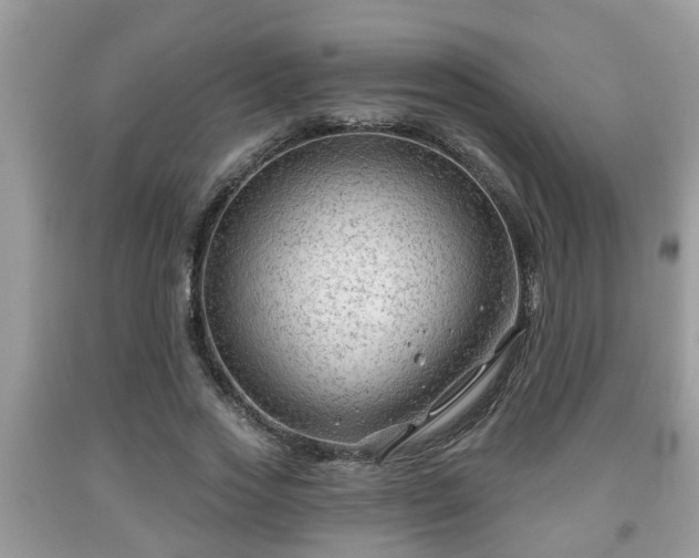 X0000091970733200709131338