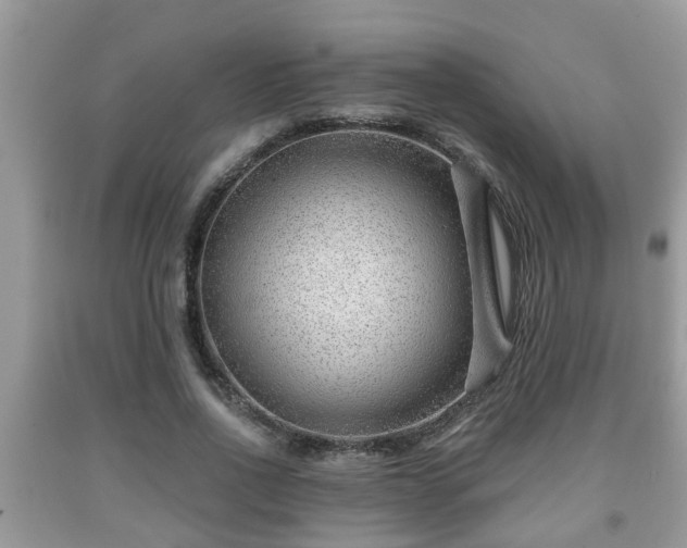 X0000091970734200709131338