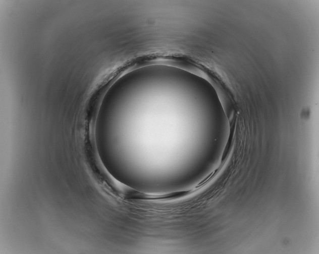 X0000091970736200709131338