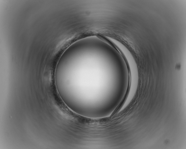 X0000091970740200709131338