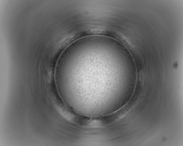 X0000091970741200709131338