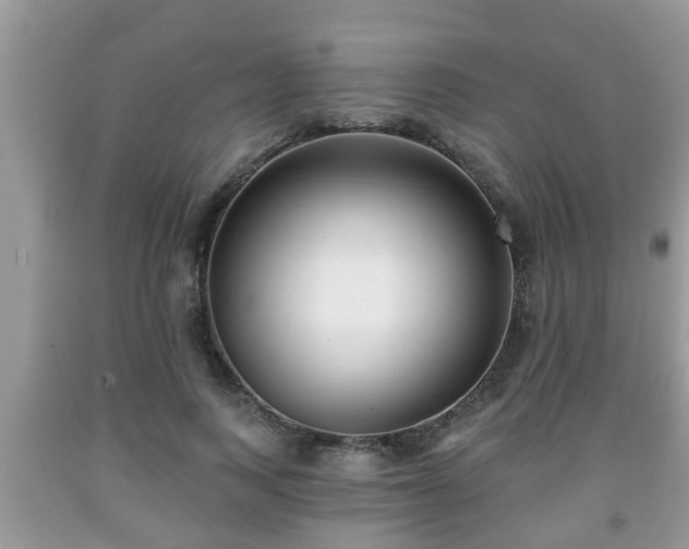 X0000091970743200709131338