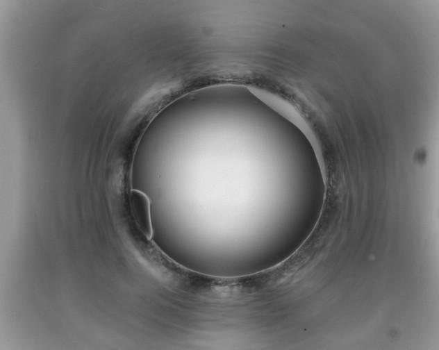 X0000091970744200709131338