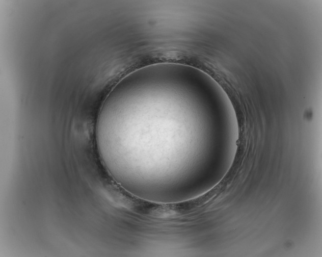 X0000091970747200709131338