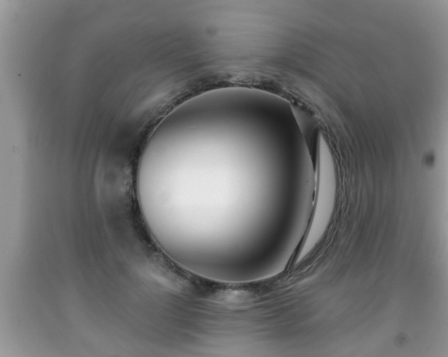 X0000091970748200709131338