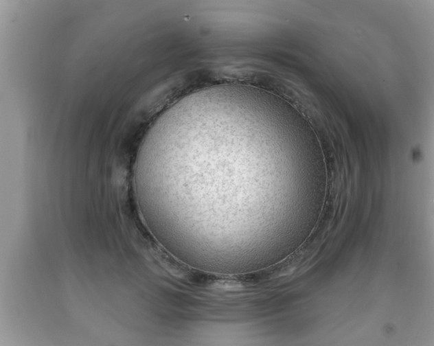 X0000091970749200709131338