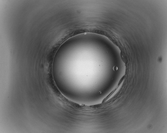 X0000091970750200709131338