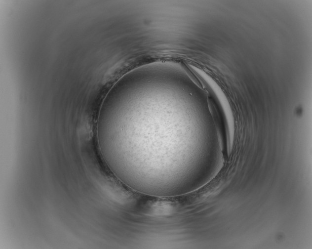 X0000091970751200709131338