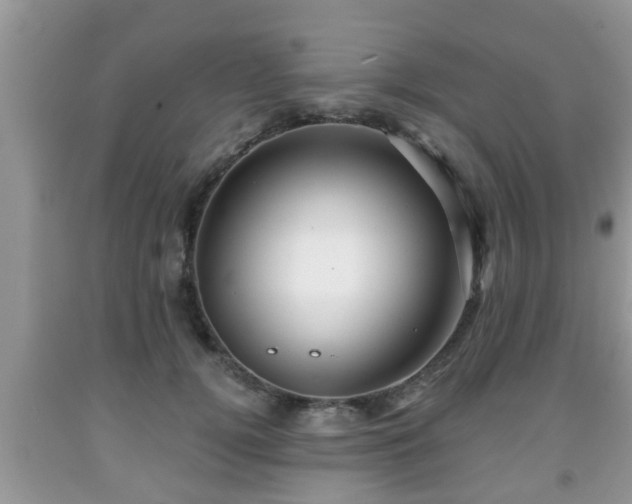 X0000091970752200709131338
