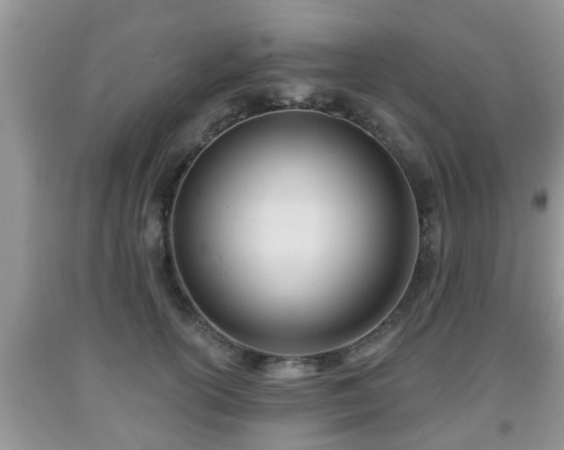 X0000091970754200709131338