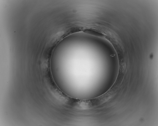 X0000091970756200709131338