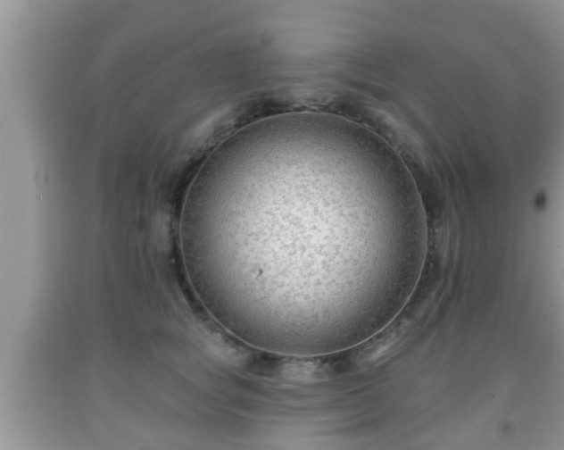 X0000091970757200709131338