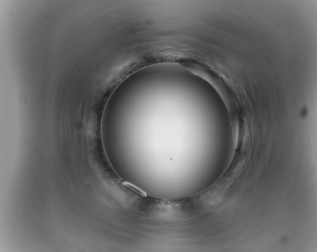 X0000091970760200709131338