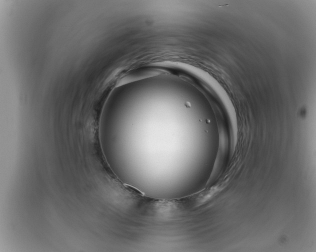 X0000091970762200709131338