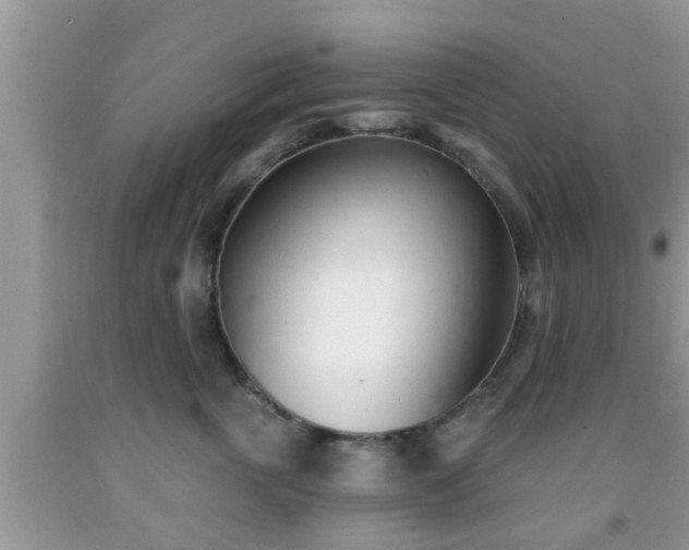 X0000091970763200709131338