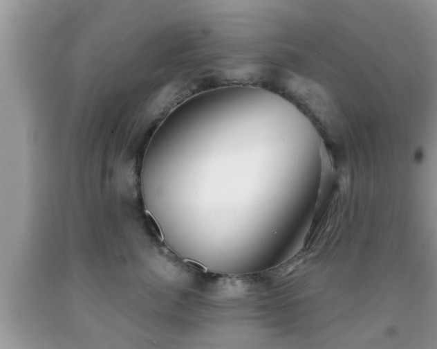 X0000091970764200709131338