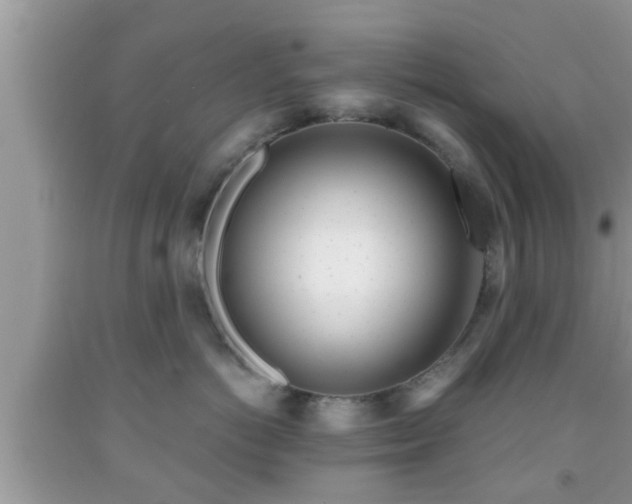X0000091970766200709131338