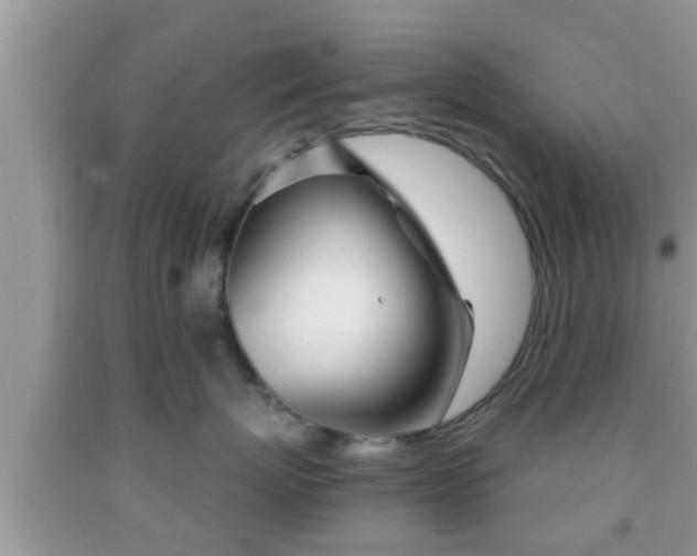 X0000091970767200709131338