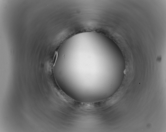 X0000091970768200709131338