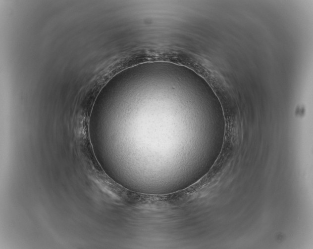 X0000091970770200709131338