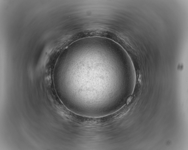 X0000091970771200709131338