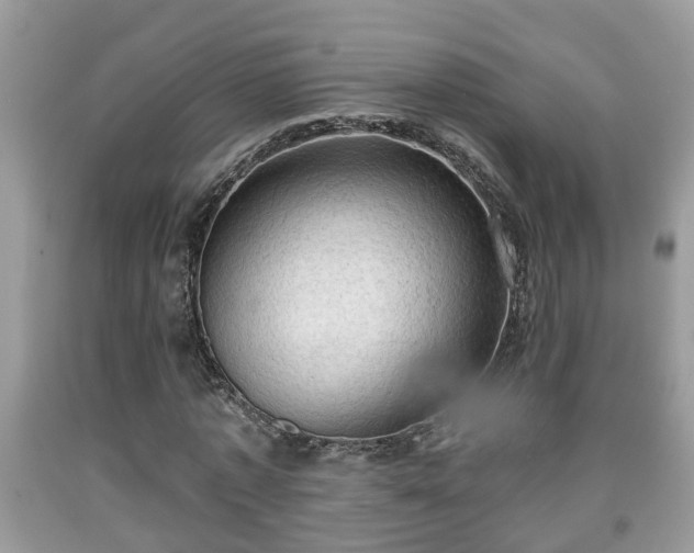 X0000091970773200709131338
