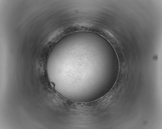 X0000091970774200709131338