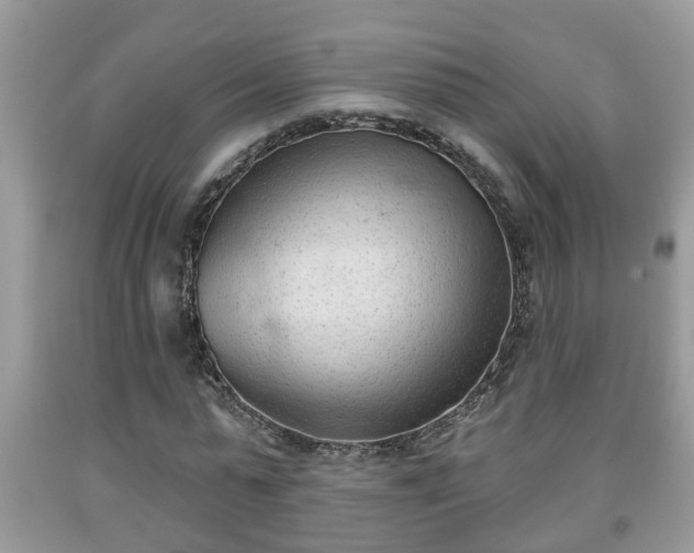 X0000091970775200709131337
