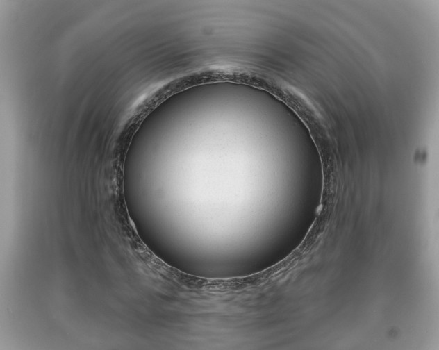 X0000091970776200709131337