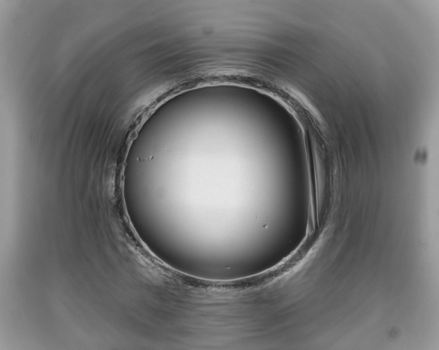 X0000091970777200709131337