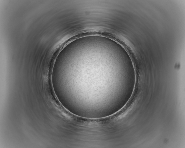 X0000091970778200709131337