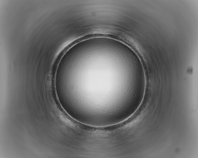 X0000091970779200709131337