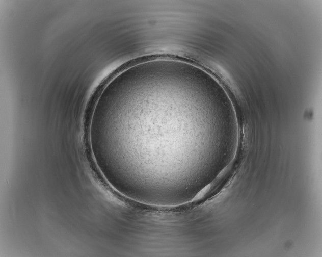 X0000091970780200709131337