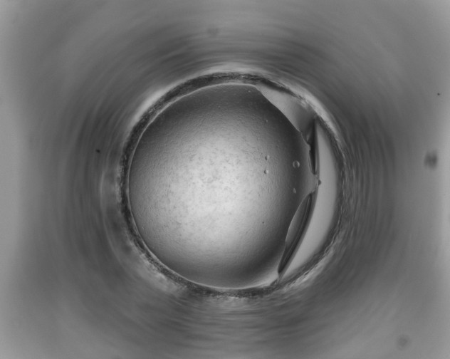 X0000091970783200709131337